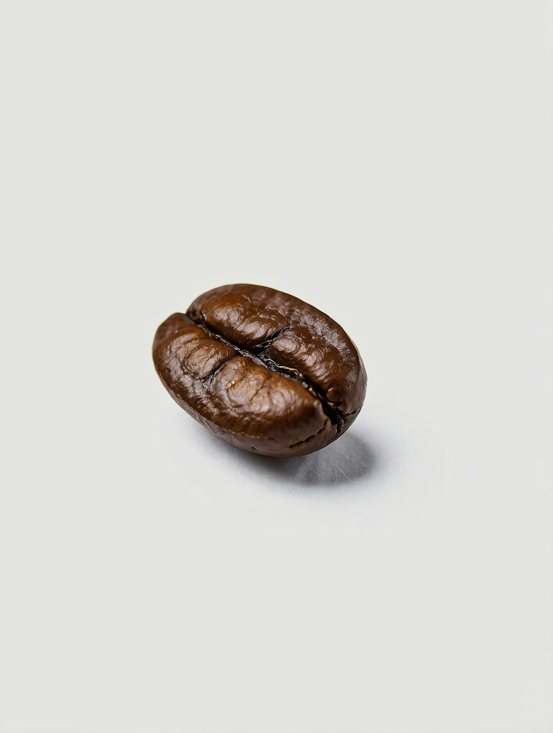 A single dark roasted coffee bean
